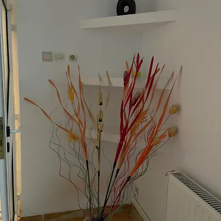Lumi Apartment
