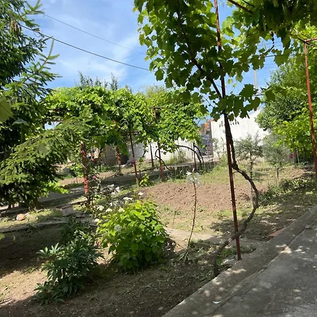 Lumi Constanta