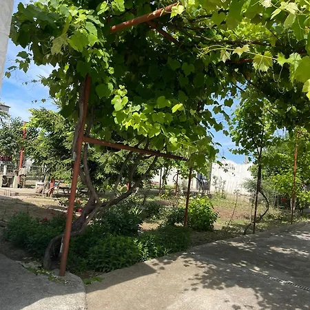 Lumi * Constanta